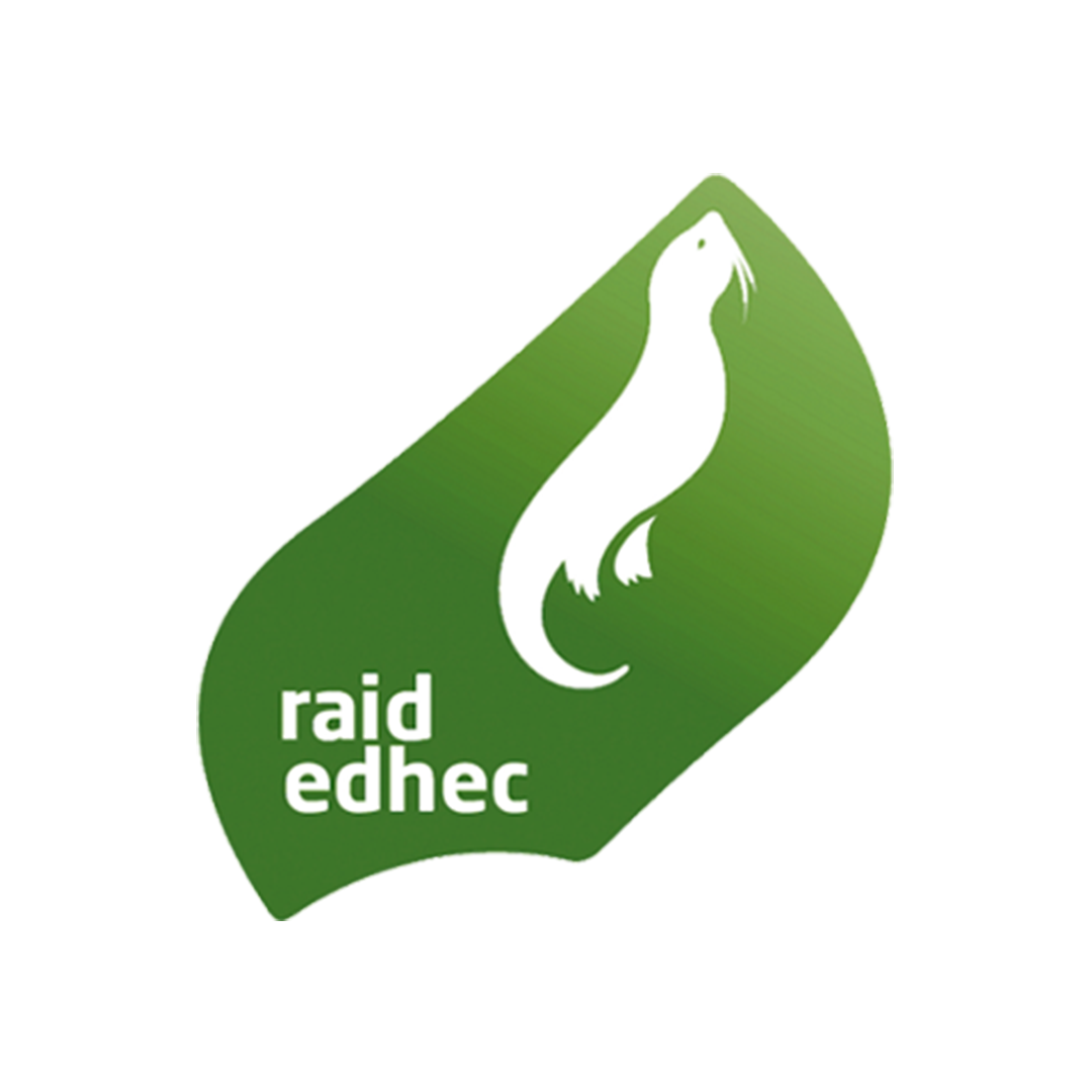 Logo Raid