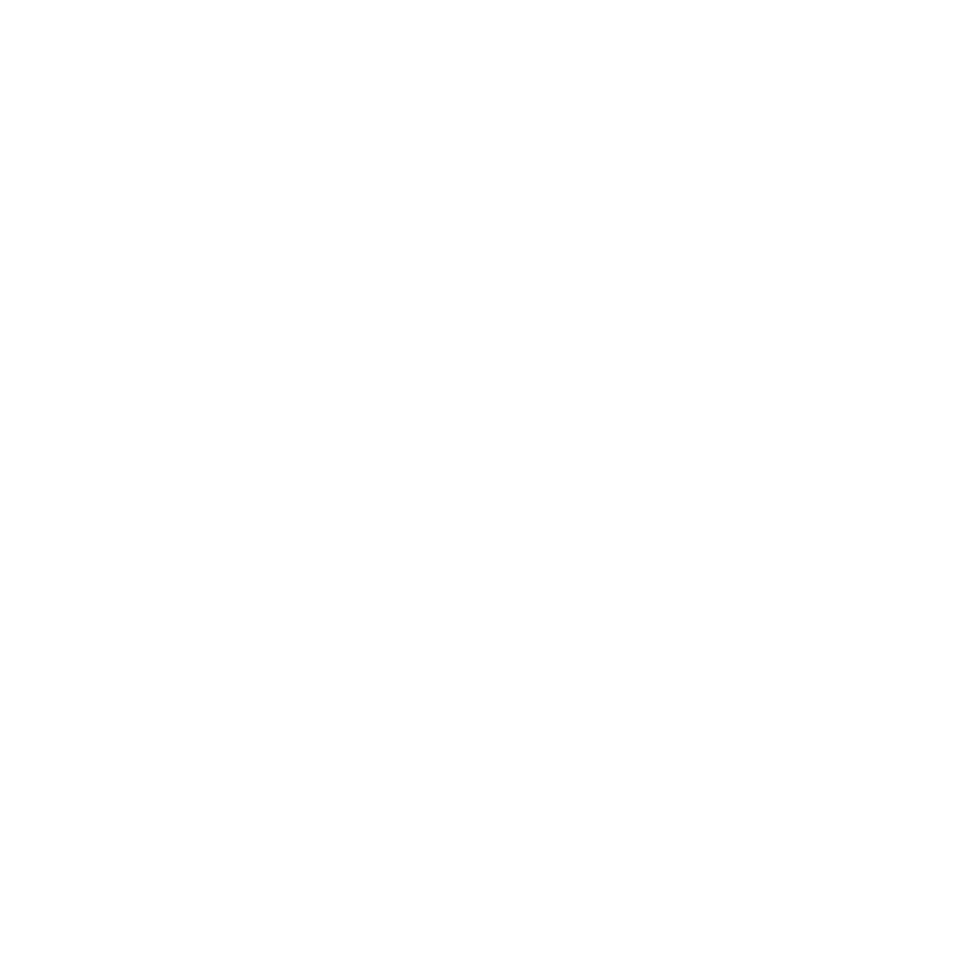 Logo Trail blanc
